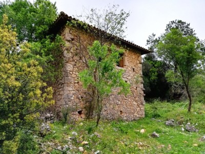 AlexandrosOldStone2.jpg