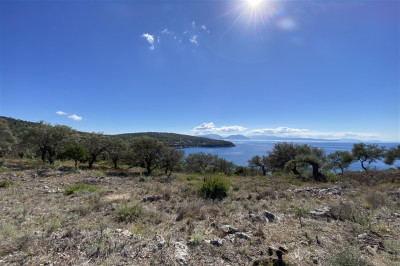 AmmousoCoastalArea01.jpg
