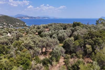 Sivota_Roulla03.jpg
