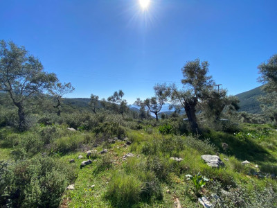 sivotaaboveview02.jpg